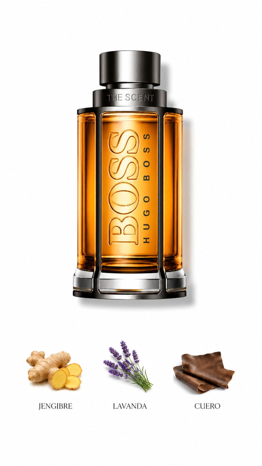 Hugo Boss BOSS The Scent For Men