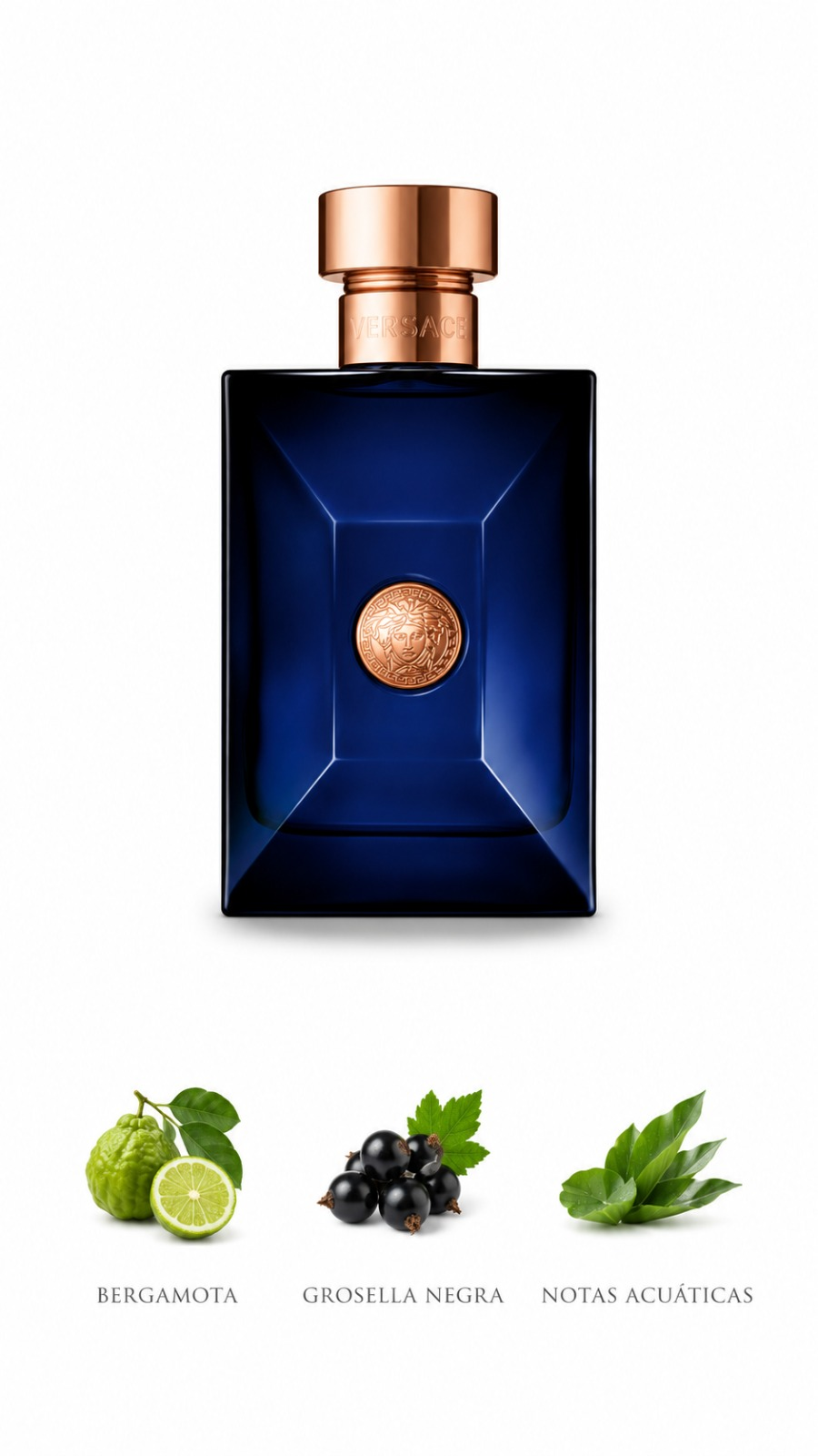 Versace Dylan Blue