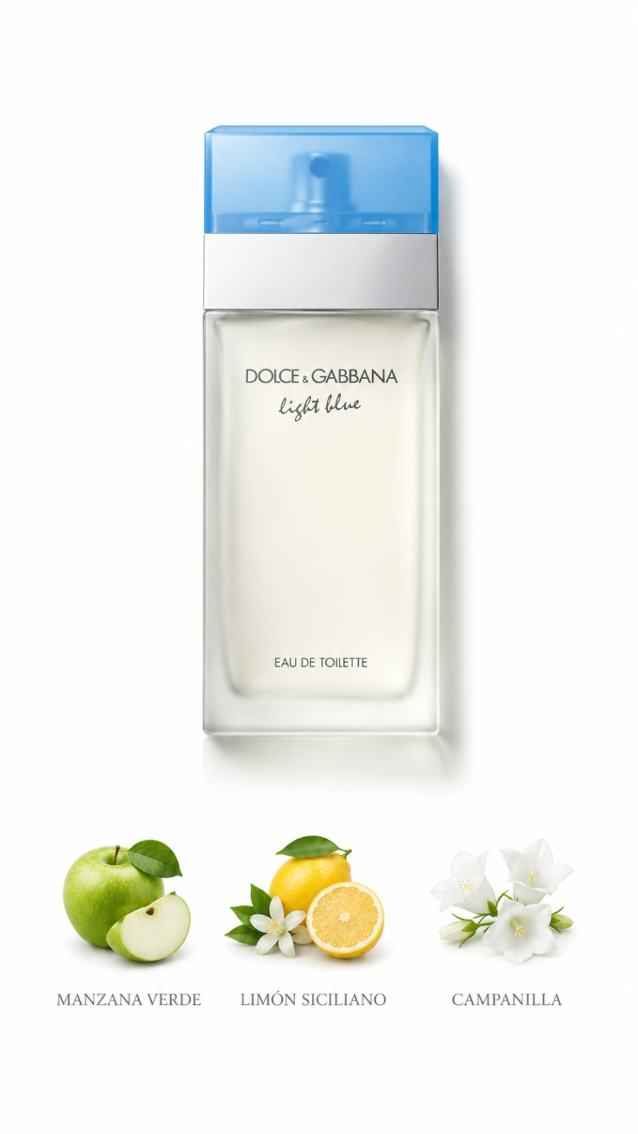 Dolce & Gabbana Light Blue Eau de Toilette