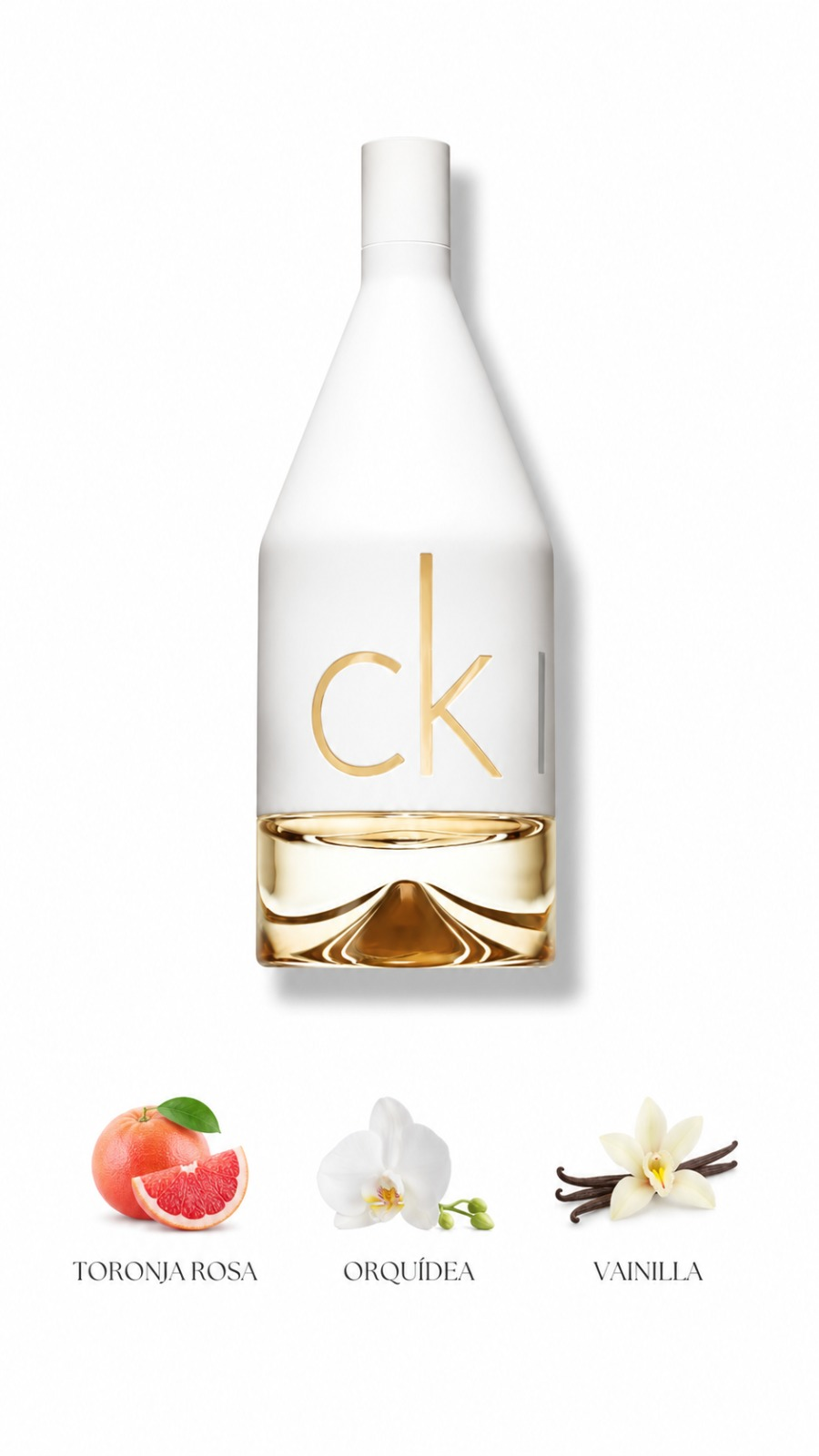 Calvin Klein CK IN2U
