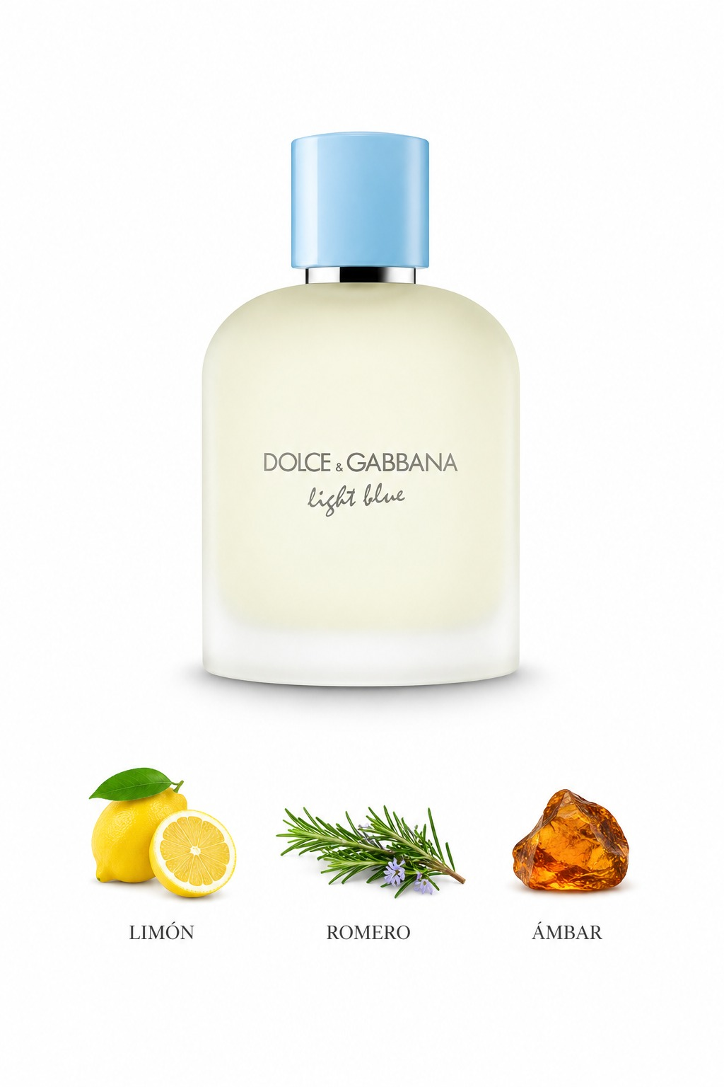 Dolce & Gabbana Light Blue Pour Homme
