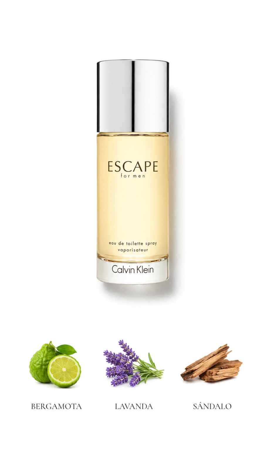 Calvin Klein Escape for Men
