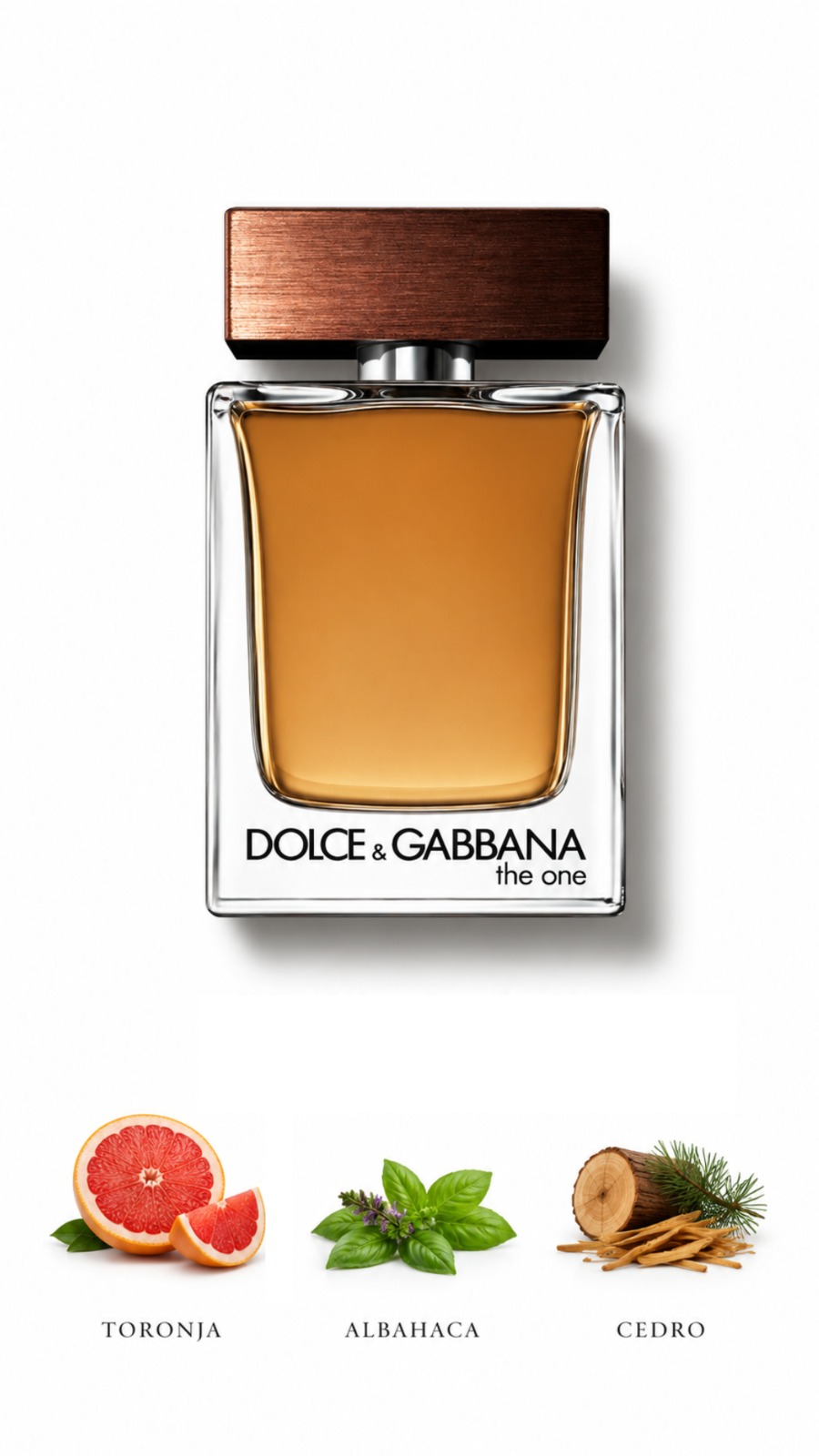 Dolce & Gabbana The One for Men EDT