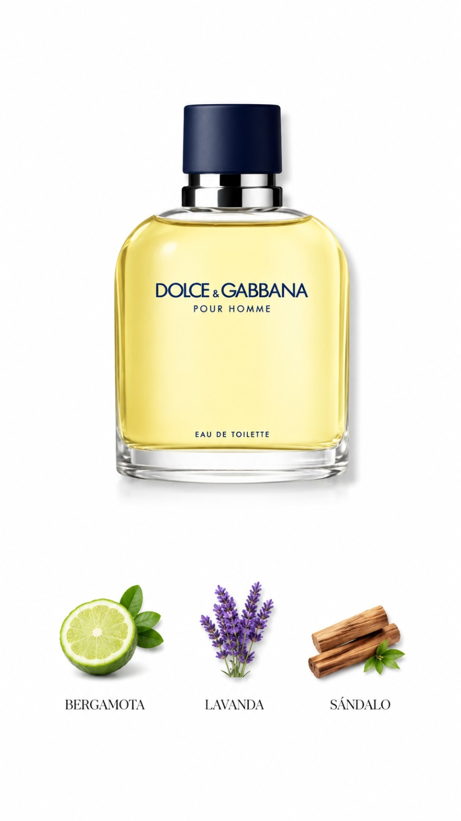 Dolce Gabbana Pour Homme