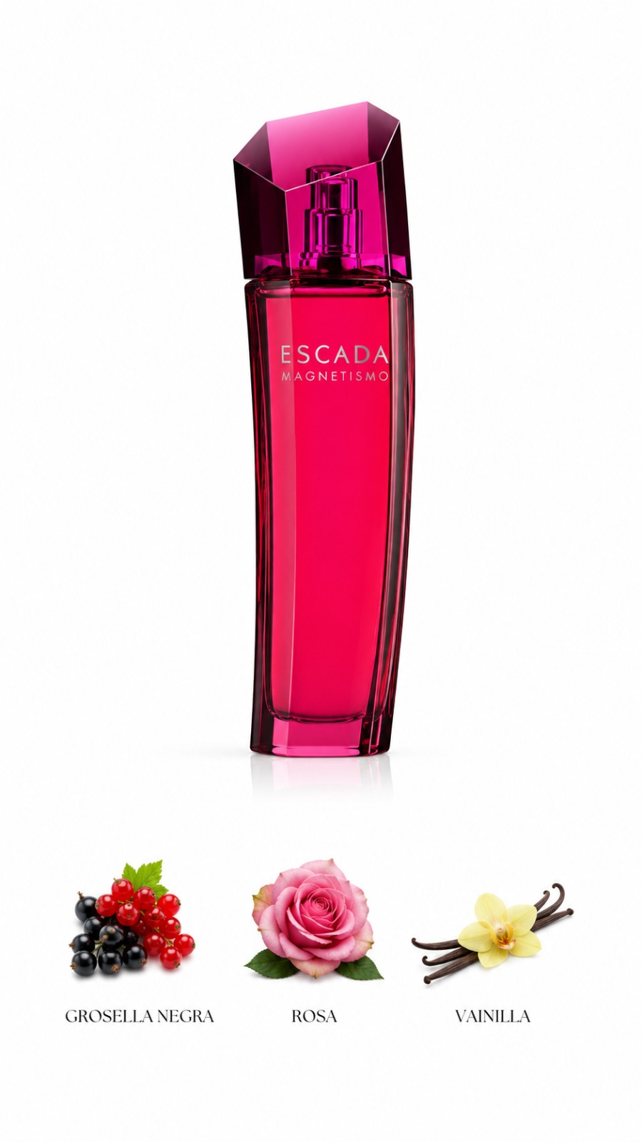 Escada Magnetism