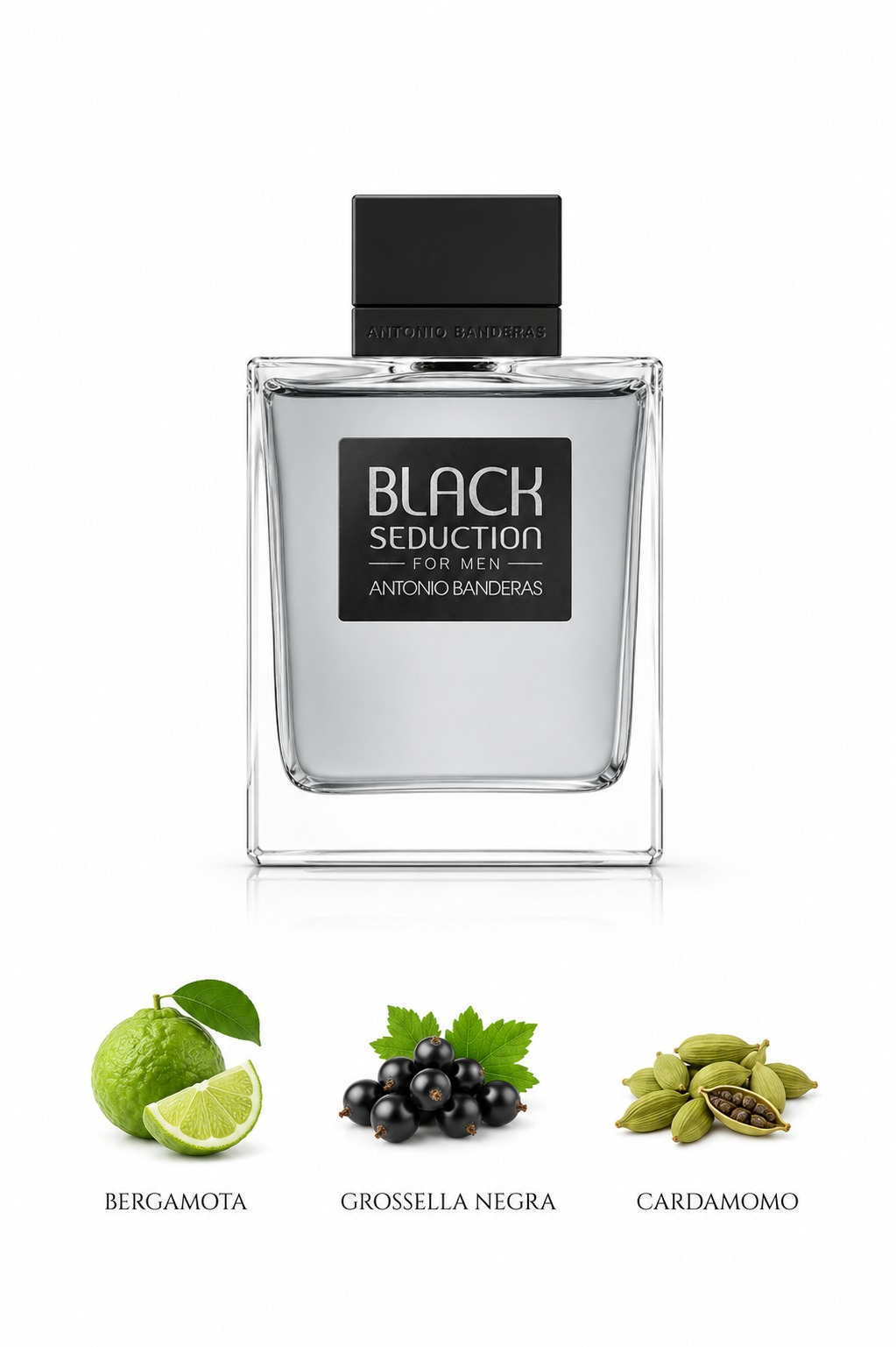 Antonio Banderas Black Seduction