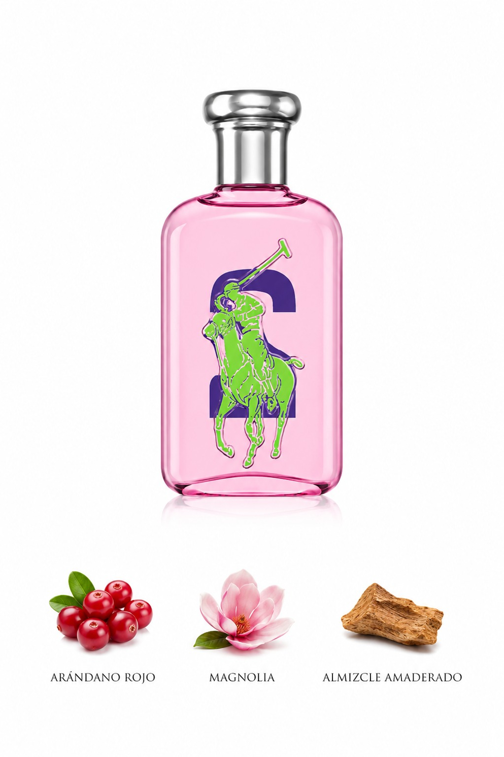 Ralph Lauren Big Pony 2
