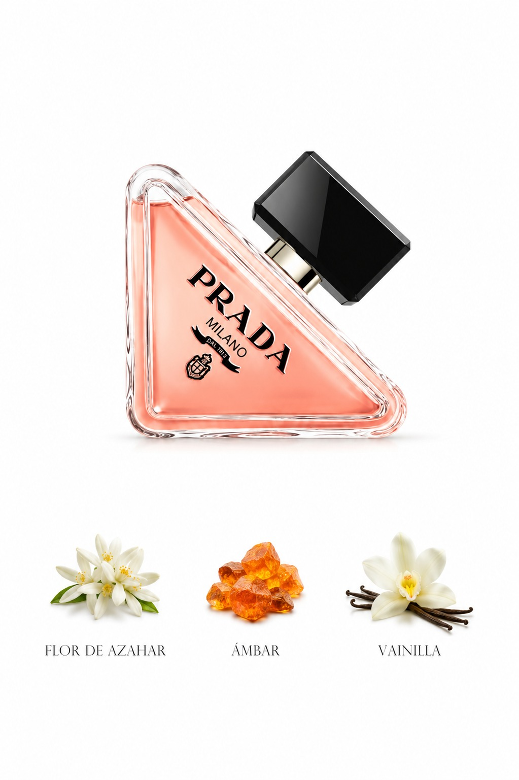 Prada Paradoxe